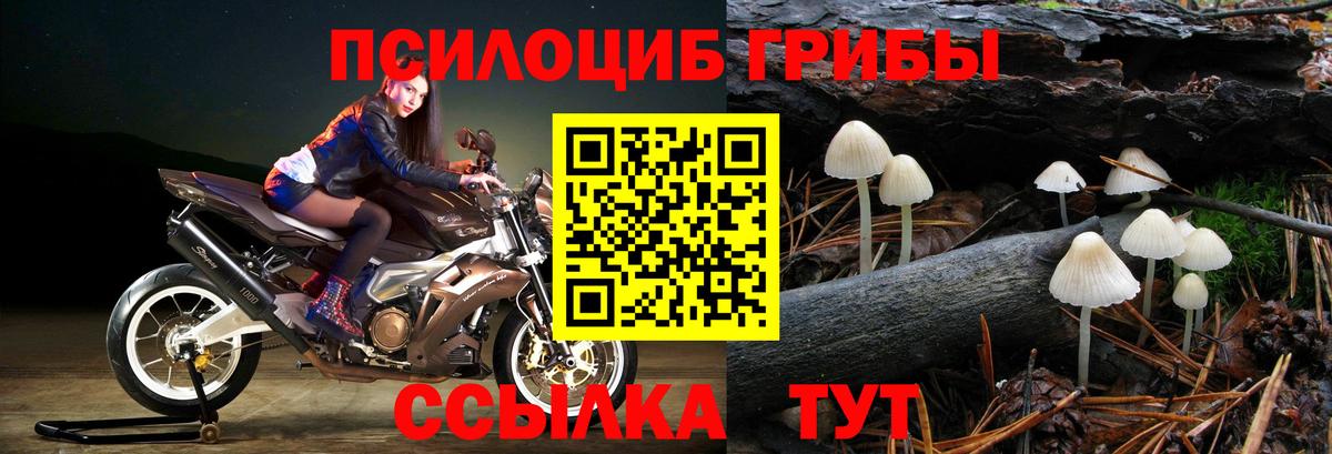 цена   Вход с VPN  Ессентуки  Псилоцибиновые грибы Cubensis 
